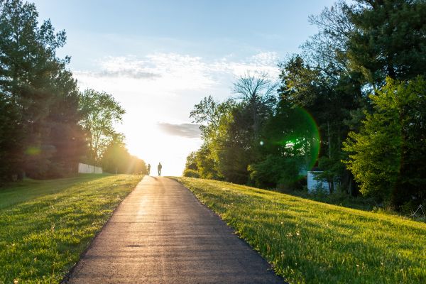 Cost of Asphalt Pathway Installation in Manteca